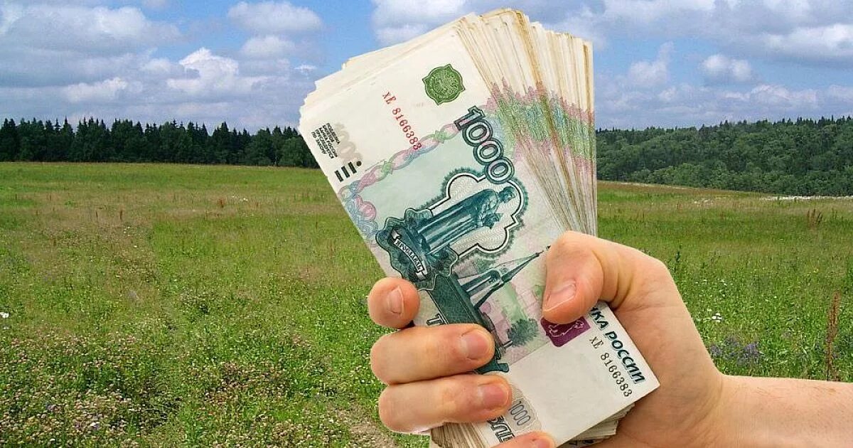 Взыскание неосновательного обогащения по Договору аренды земли